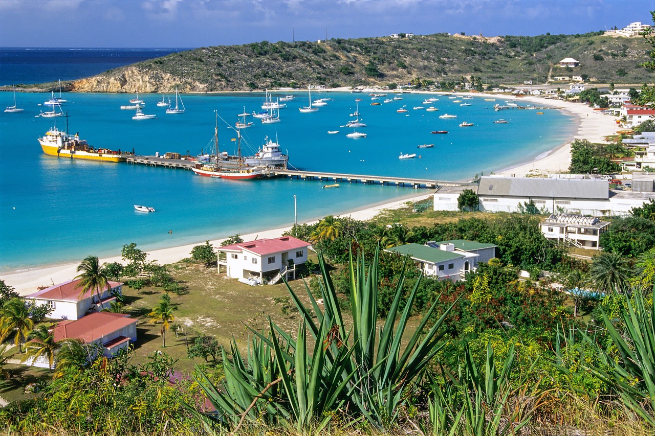 Anguilla esim