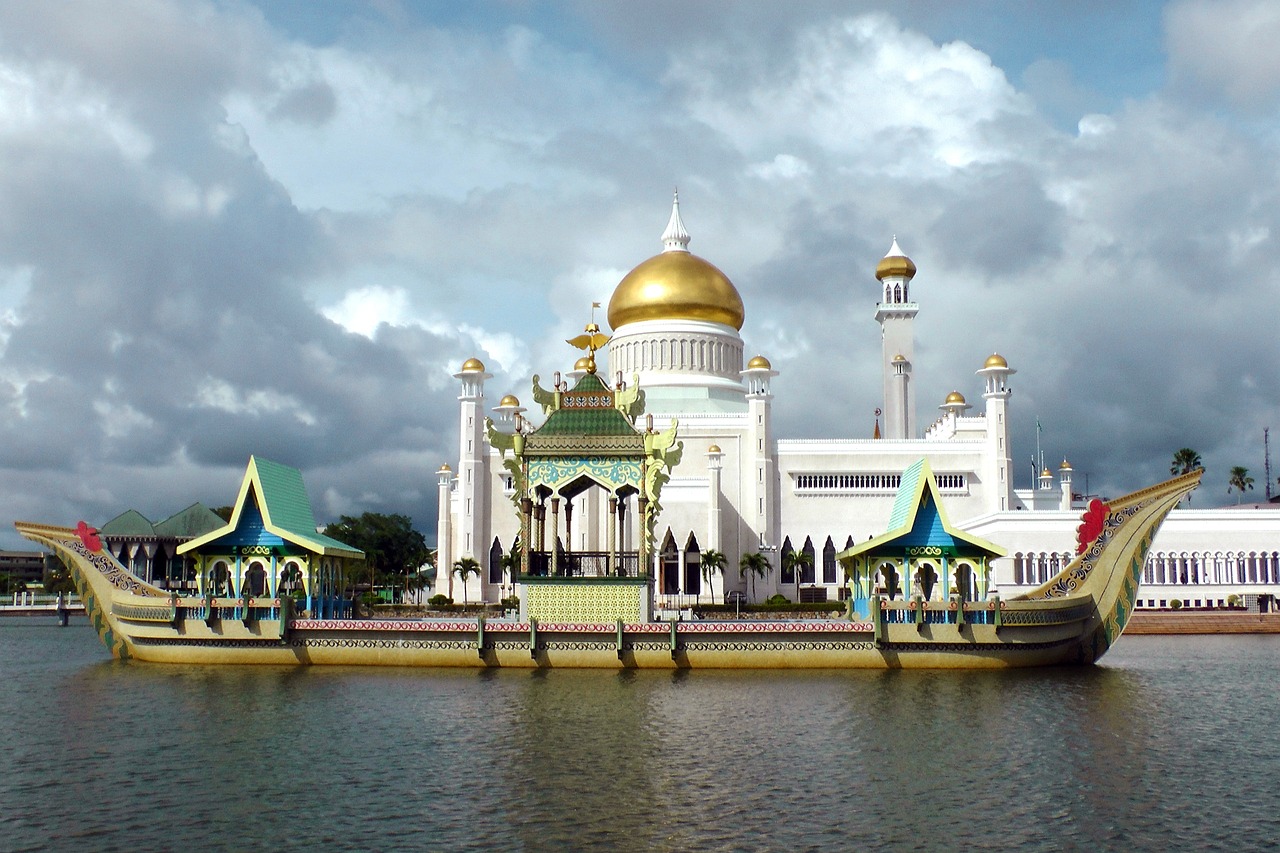 Brunei esim