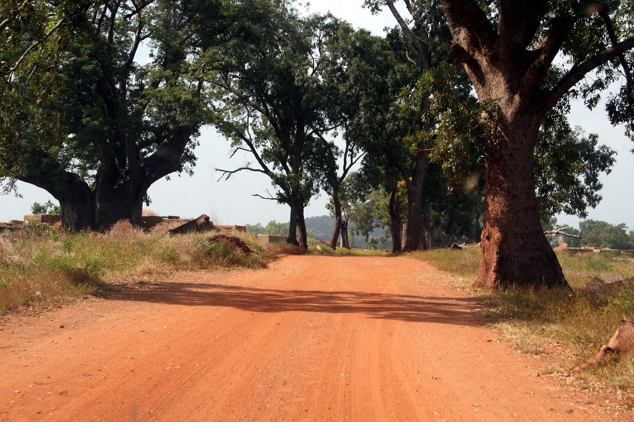 Burkina Faso esim