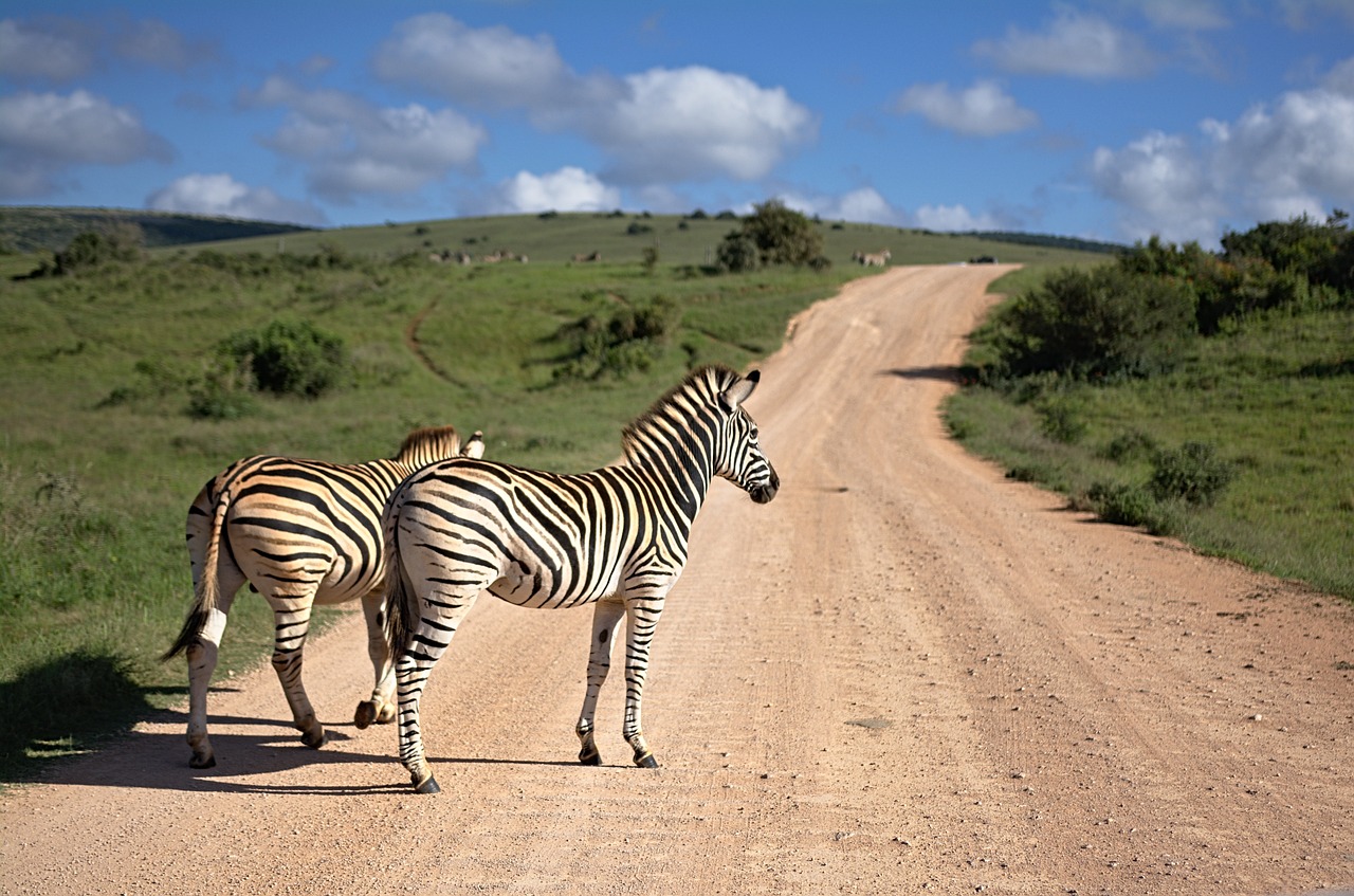 Eswatini esim