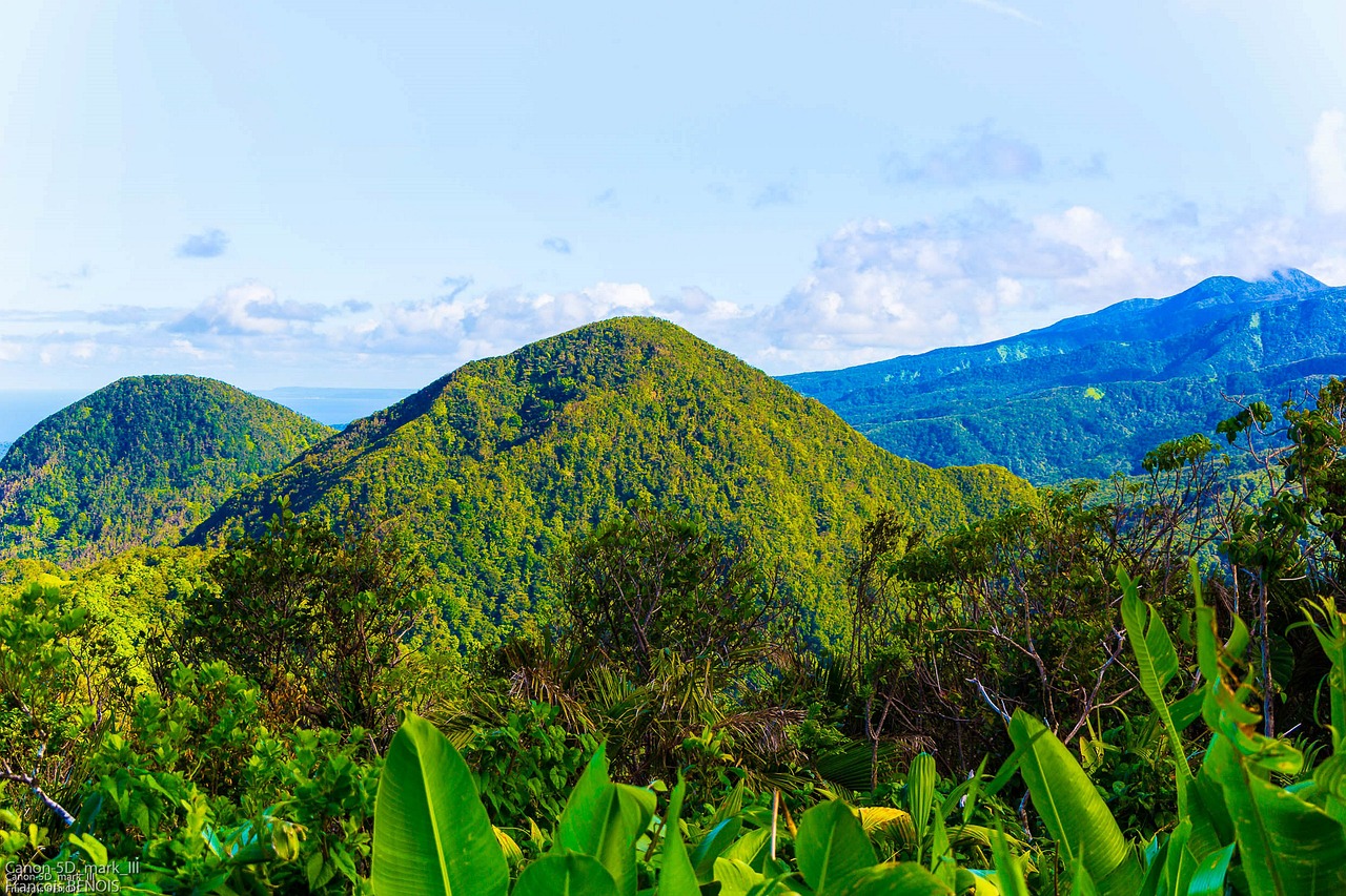 Guadeloupe esim